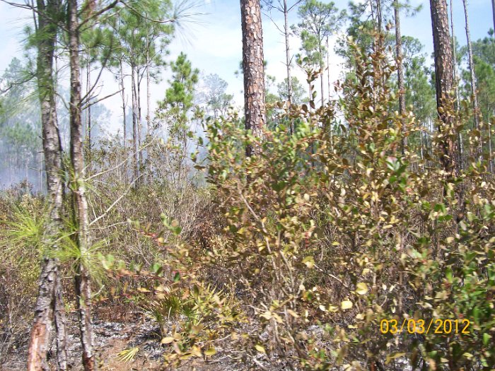 2012-Mar-03HGR4X4Richloam 135